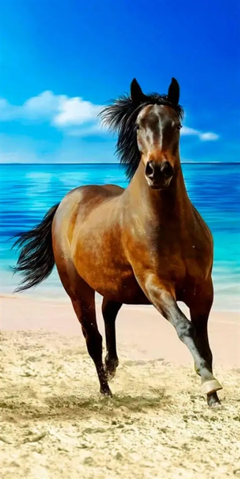 Badehåndkle - Galopperende hest - 70x140cm – Lekker og myk kvalitet