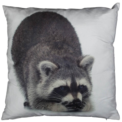 Pyntepute Vaskebjørn