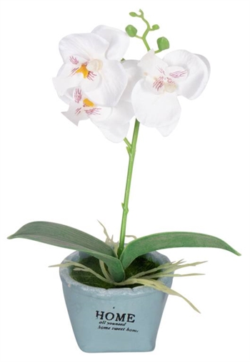 Kunstig hvit orkidé - I et fint skjul - Høyde 26 cm Innredning , Dekorasjon  , Kunstige planter , Kunstige blomster