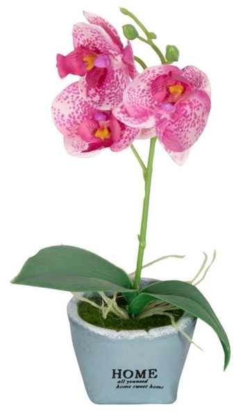 Kunstig hvit og rosa orkidé - I et fint skjul - Høyde 26 cm