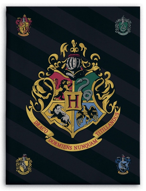 Barneteppe - Harry Potter - 100x140 cm - Mykt og deilig fleeceteppe - Borg living