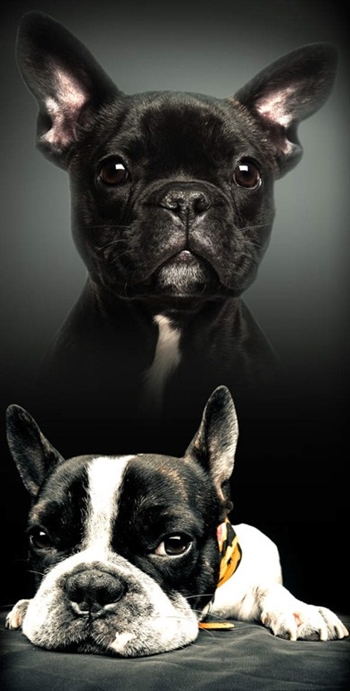 Badehåndkle - Miffy  - 70x140cm – Lekker og myk kvalitet