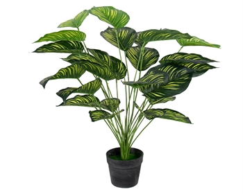 Kunstig plante 70 cm - Calathea med store vakre grønne blader