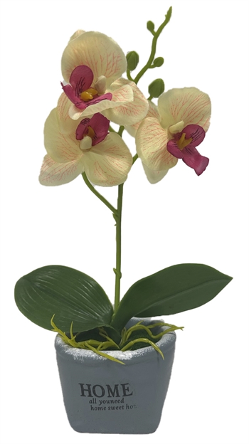 Kunstig Gul orkidé - I et fint skjul - Høyde 26 cm